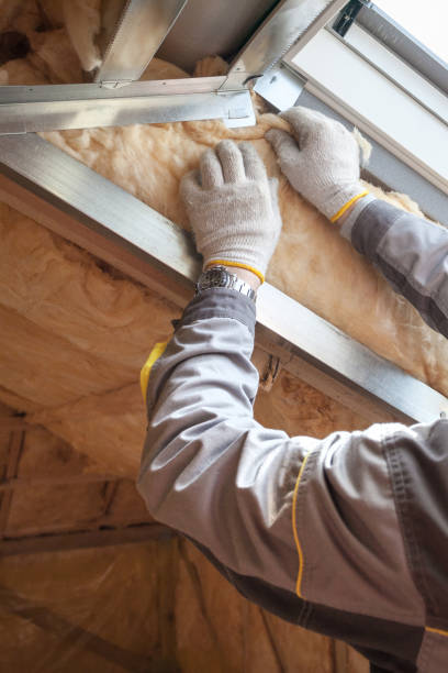 Best Geographic-Specific Insulation Services in East Lake Orient Park, FL