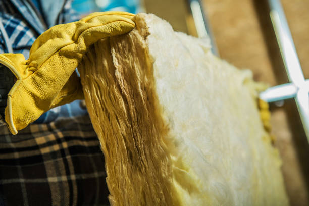 Best DIY Insulation Kits and Guidance in East Lake Orient Park, FL