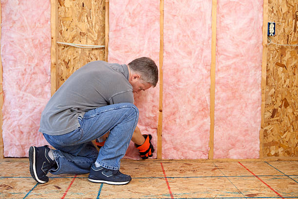Best Blown-in Insulation in East Lake Orient Park, FL