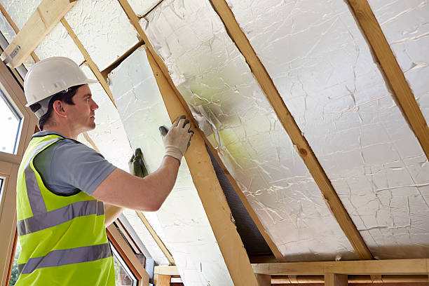 Best DIY Insulation Kits and Guidance in East Lake Orient Park, FL