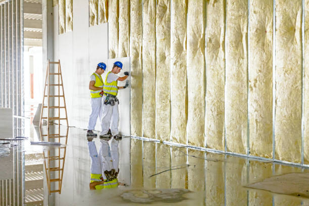 Best Cellulose Insulation in East Lake Orient Park, FL